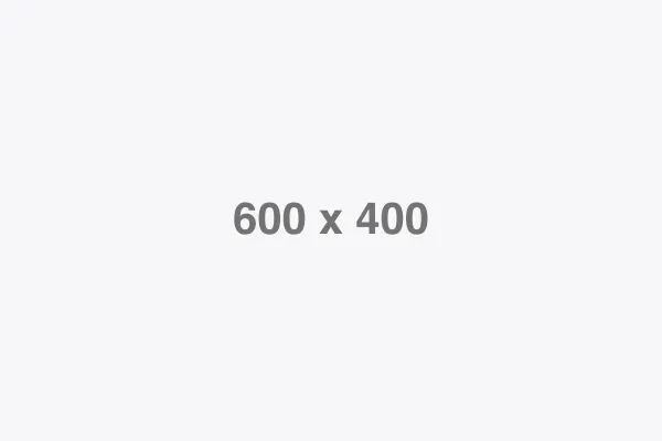Auth & Organizations